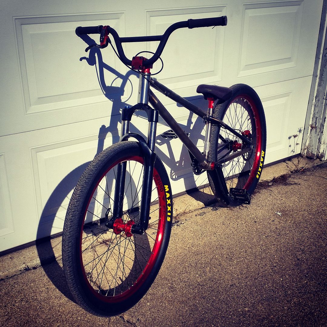 cheap dirt jump frame